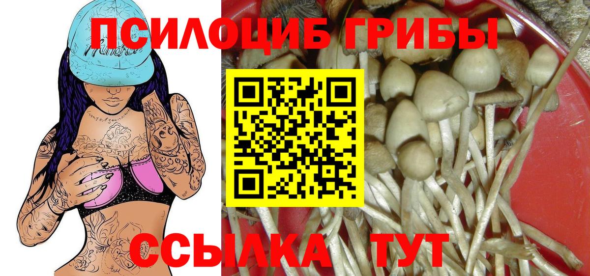 Галлюциногенные грибы MAGIC MUSHROOMS  Вход с VPN  Черкесск 